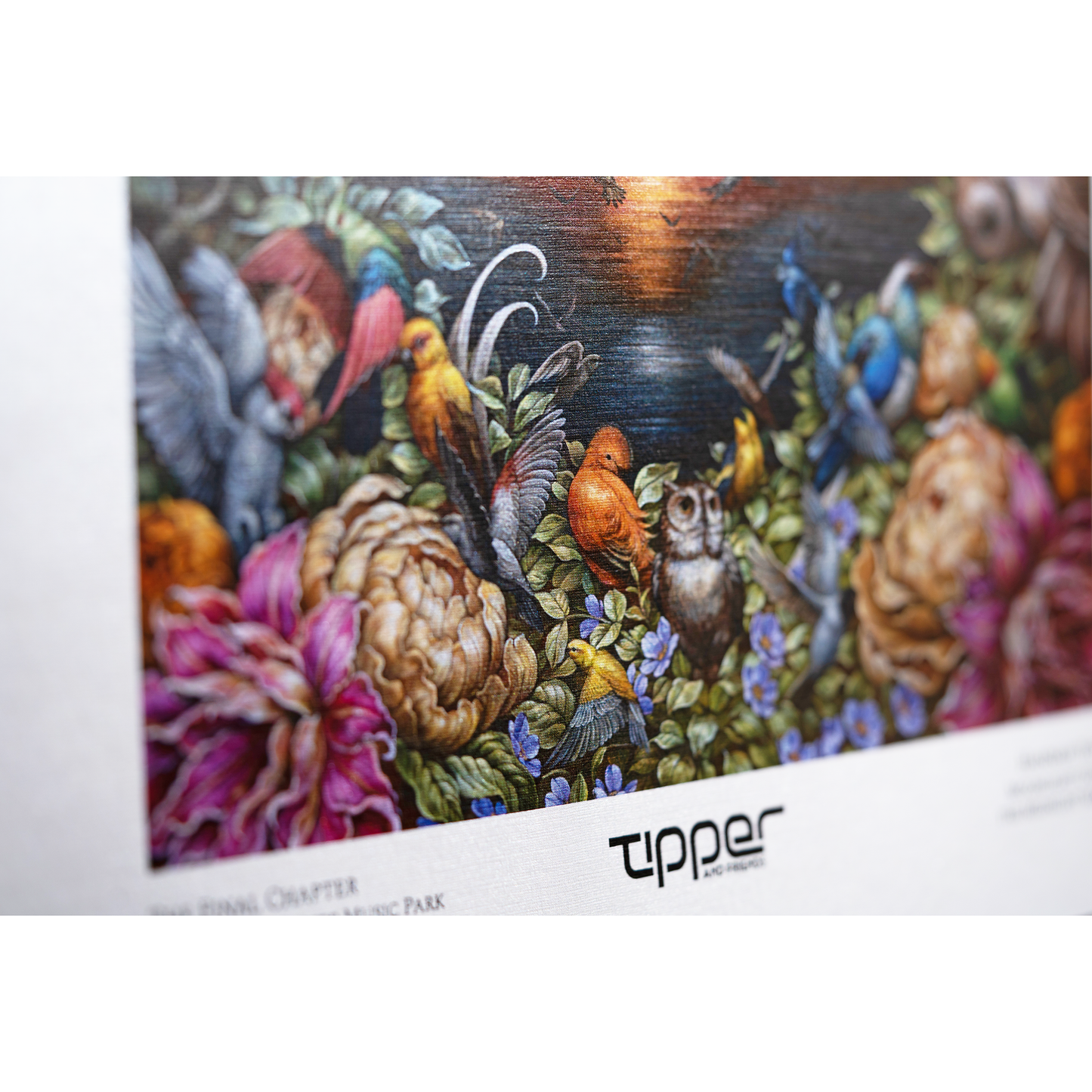 Pre-Order Suwannee Poster
